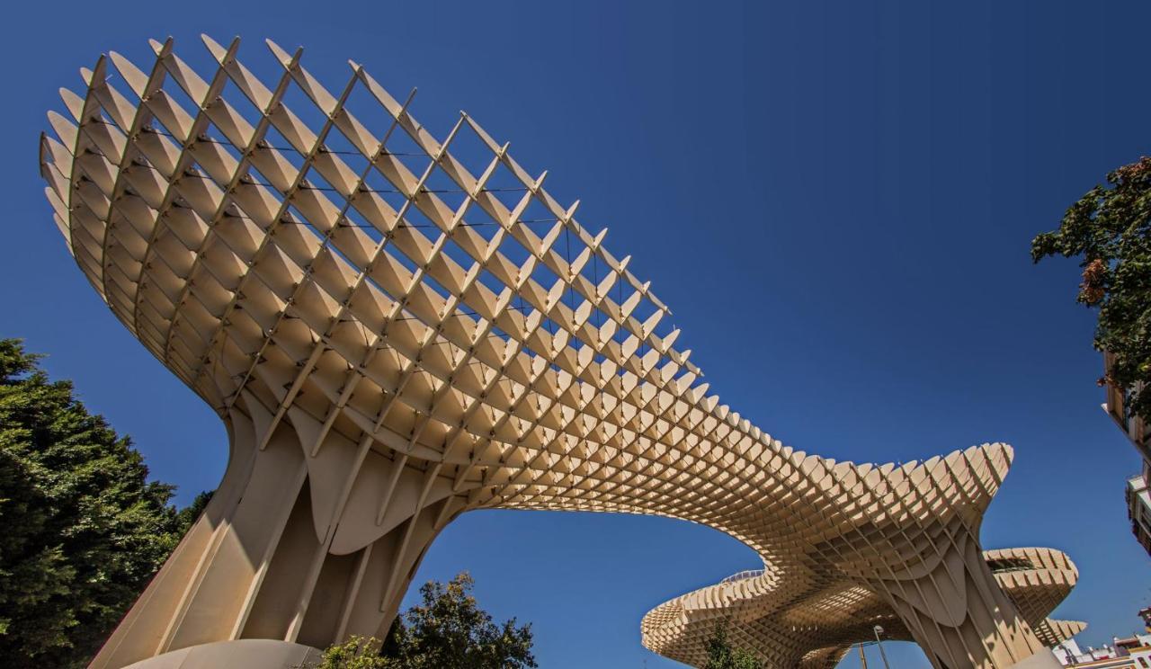 Madrono Regina * Sevilla